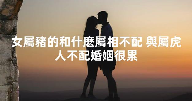 女屬豬的和什麽屬相不配 與屬虎人不配婚姻很累